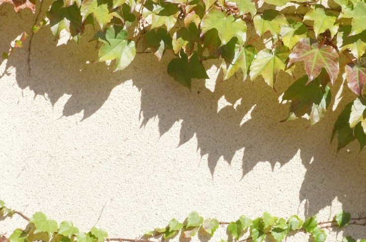 00a2015925ba03c07dd7d4e5c05bb3ec_m